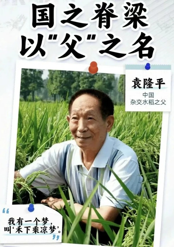 岳阳市江南通信职业技术学校有限公司,岳阳江南学校,岳阳江南通信学校,岳阳职业学校
