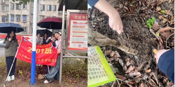 岳阳市江南通信职业技术学校有限公司,岳阳江南学校,岳阳江南通信学校,岳阳职业学校