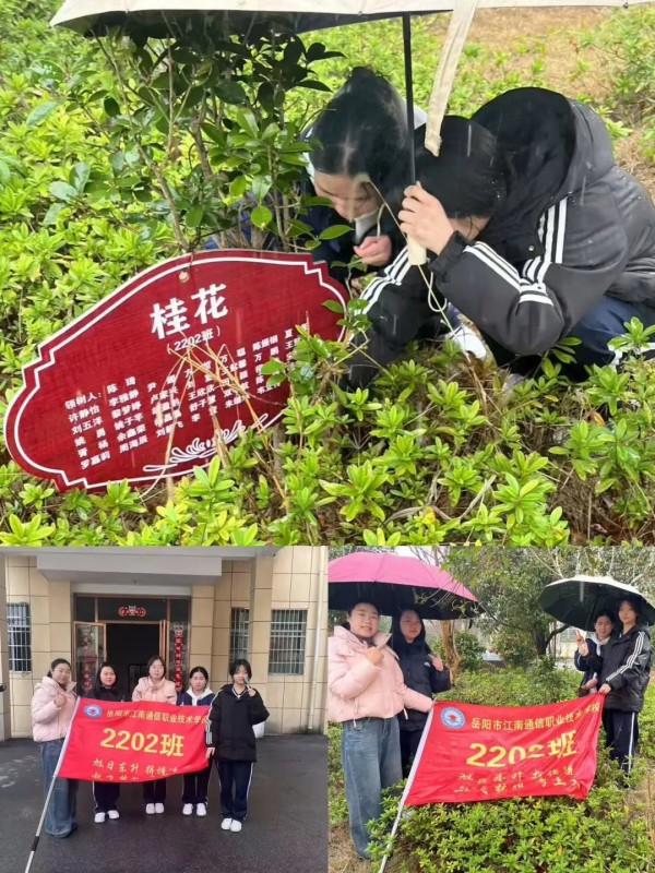 岳阳市江南通信职业技术学校有限公司,岳阳江南学校,岳阳江南通信学校,岳阳职业学校